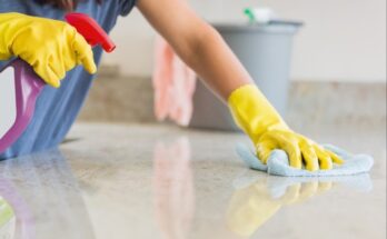 Customizing Your Cleaning Service to Fit Your Needs