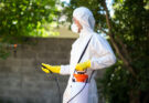 Top 7 Reasons Why You Should Not Try Your Own Pest Control Methods