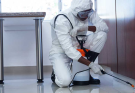 How Often Should You Schedule Pest Control Services?