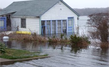 Different Water Damage