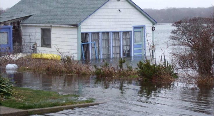 Different Water Damage